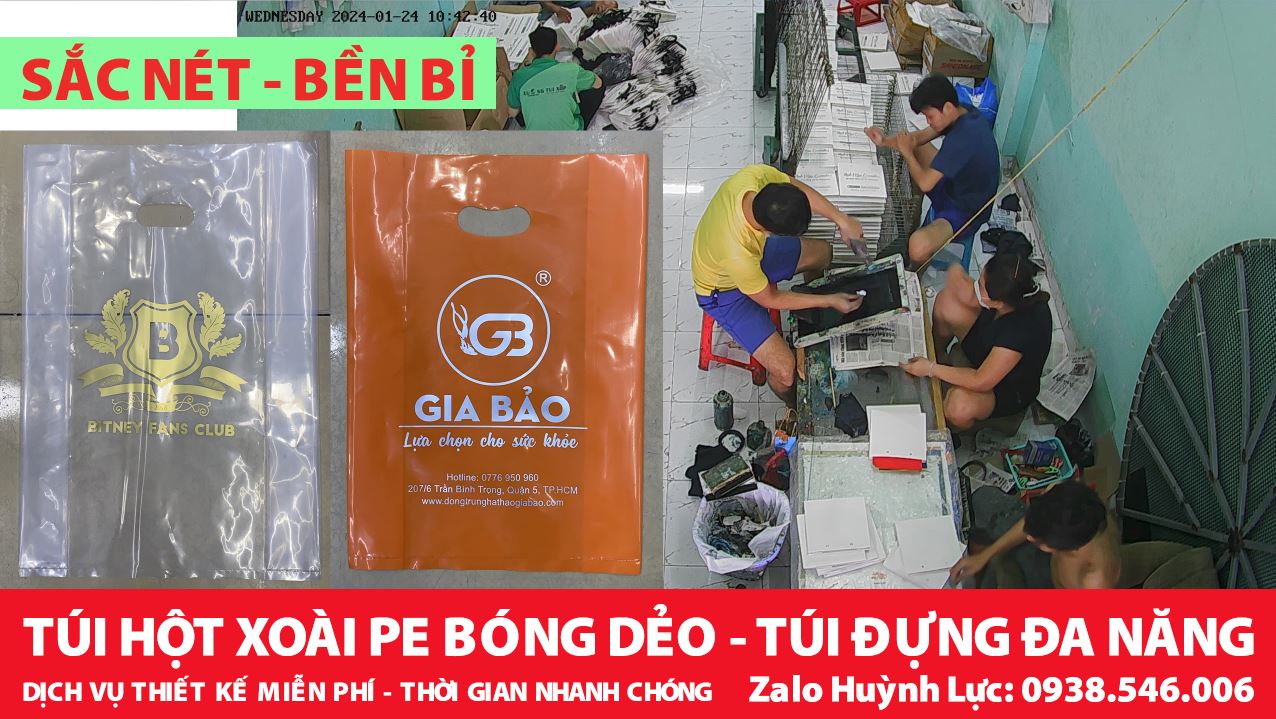 In Túi Hột Xoài PE 6 in tui xop hot xoai pe bong deo