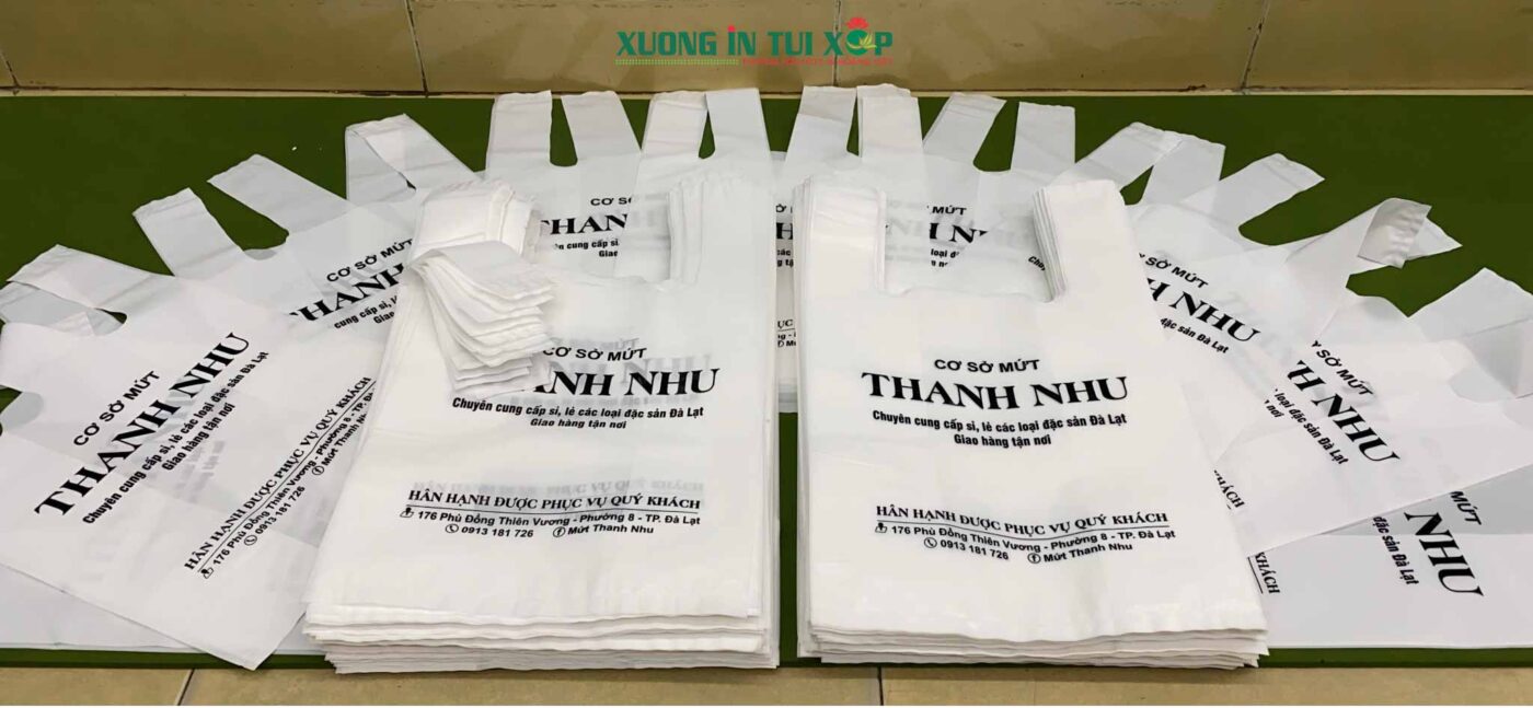 In Túi Siêu Thị 2 Quai Trắng 7 Tui sieu thi Mut Thanh Nhu